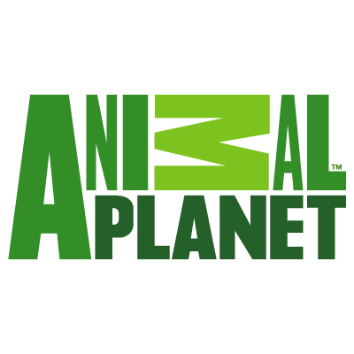 Animal planet logo vector