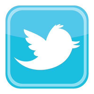 Twitter bird icon logo vector