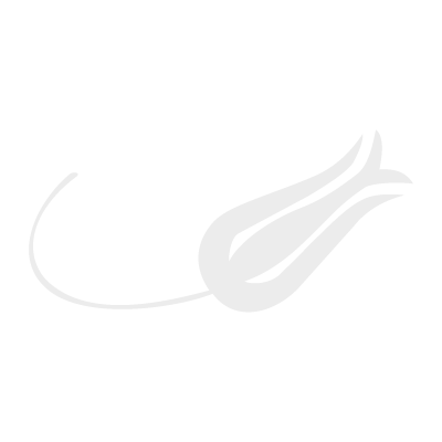 Turk Hava Yollari (.EPS) vector logo