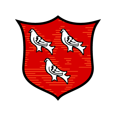 Dundalk FC (Old) vector logo