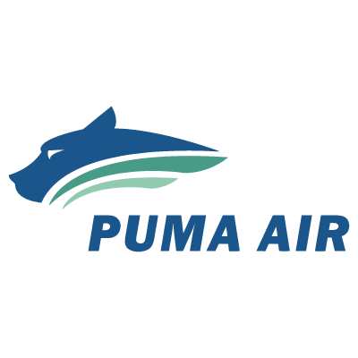 Puma Air logo vector