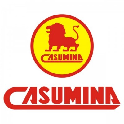 casumia logo vector