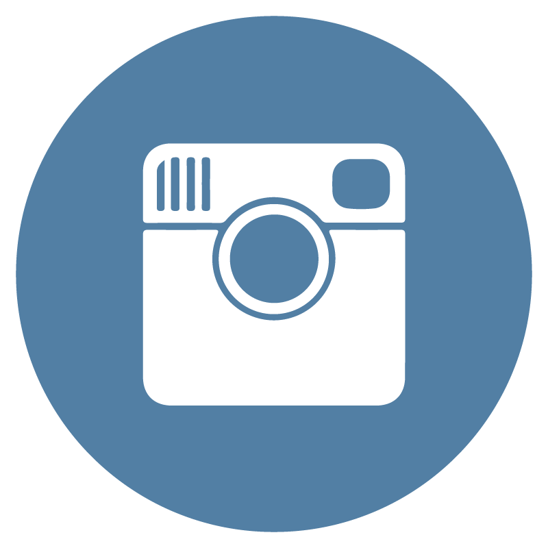 Instagram icon circle logo vector