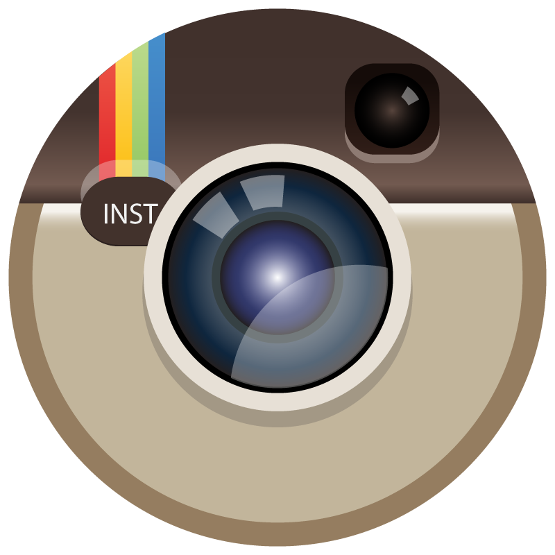 Instagram icon Circle logo vector