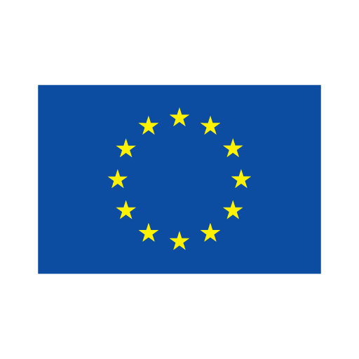 EU Flag logo vector