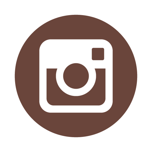 Instagram icon logo vector